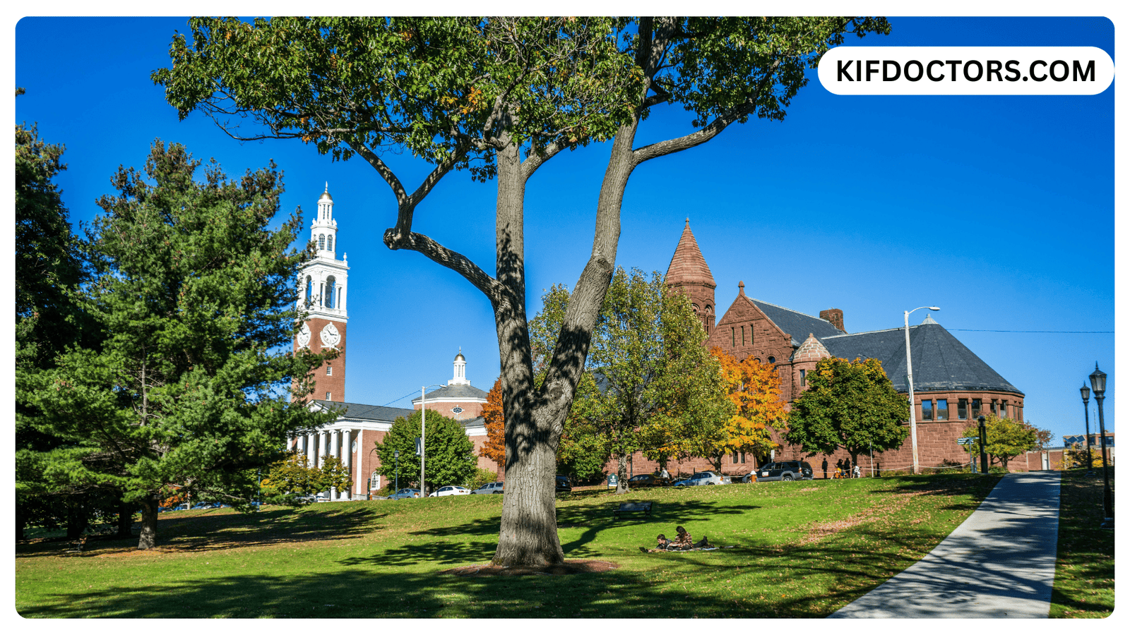 Benefits You Are Missing Without a Vermont MMJ Card