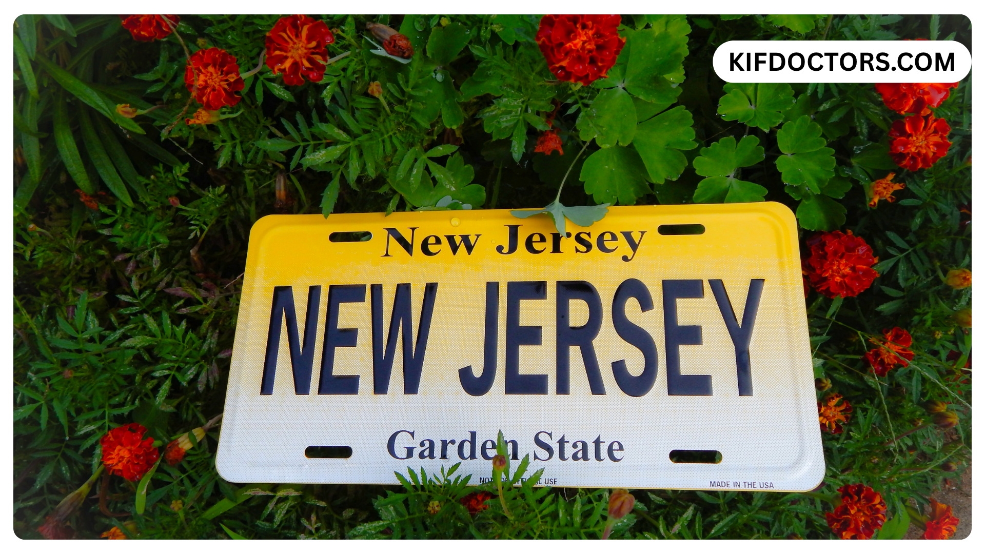 How to Apply for a Medical Card if You Live in New Jersey